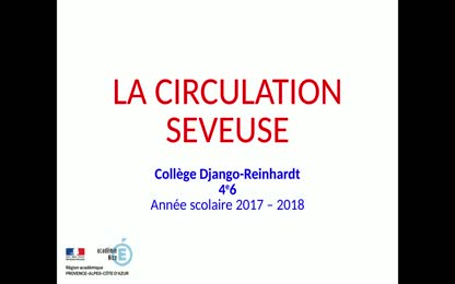 4e6 - Circulation sèveuse