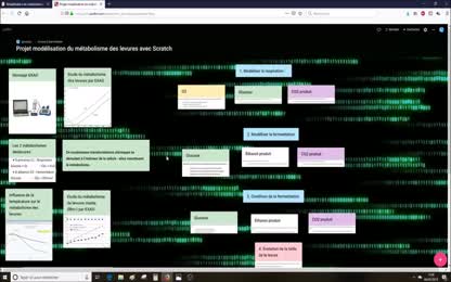 Modélisation du métabolisme des levures avec Scratch