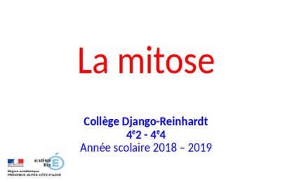 4e2 - 4e4 - La mitose