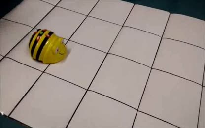 VDS - GS Beebot