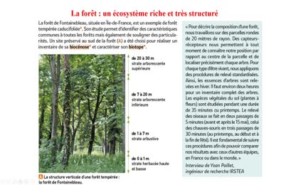 ecosystème foret