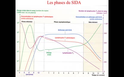 LTcd4v2