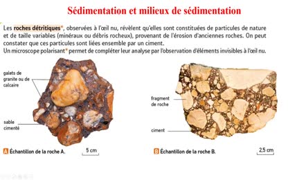 roches détritiques