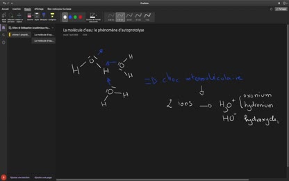 autoprotolyse