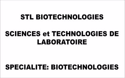 Filière_STL_Biotech_eleves