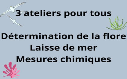 2022/2023 Les 6eE finalisent l’état des lieux de leur aire marine protégée