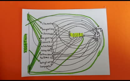 Projet loup interdisciplinaire Partie 2