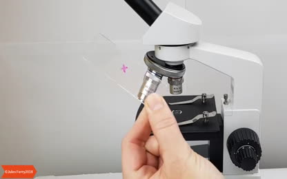 Méthodologie SVT - Utiliser un microscope